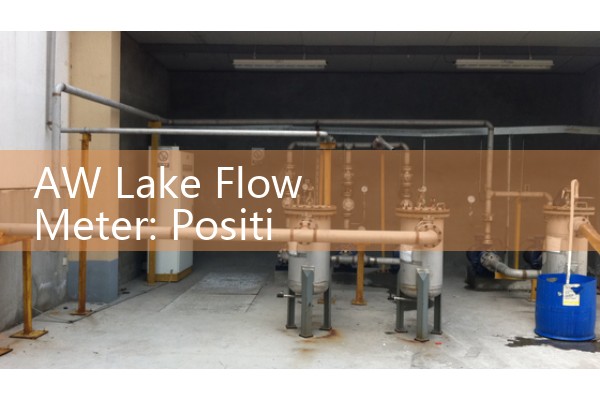 AW Lake Flow Meter: Positive Displacement and Turbine Fluid Sensor Specs